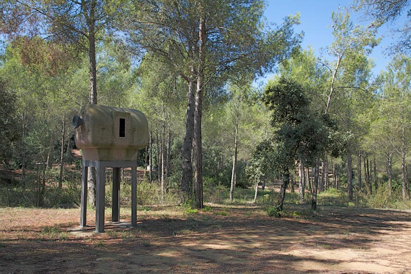 Farmhouse and forest