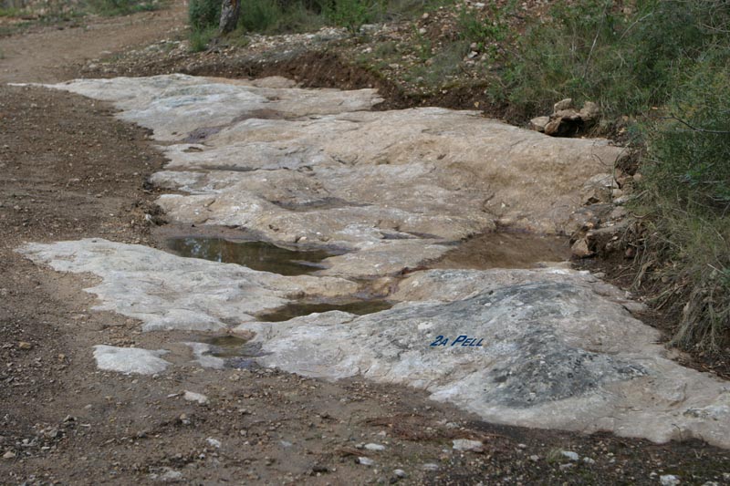 La Comella és una roca