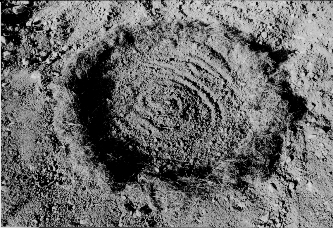 Espirales y circulos