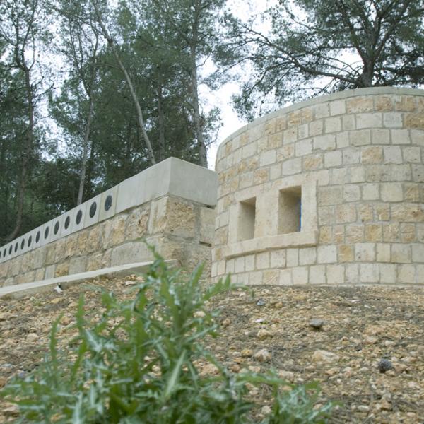 Ocultacions en Glíptica, llindars de raó i paisatges de la ment